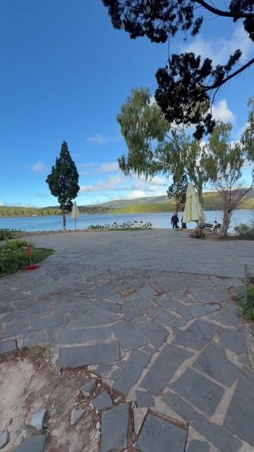 A serene walk along Đà Lạt's scenic lakeside promenade, featuring cypress trees, weeping willows, and mountain vistas reflected in the tranquil waters of Xuân Hương Lake during clear, sunny weather.